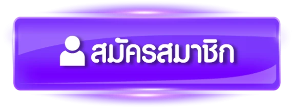 sbfplay99